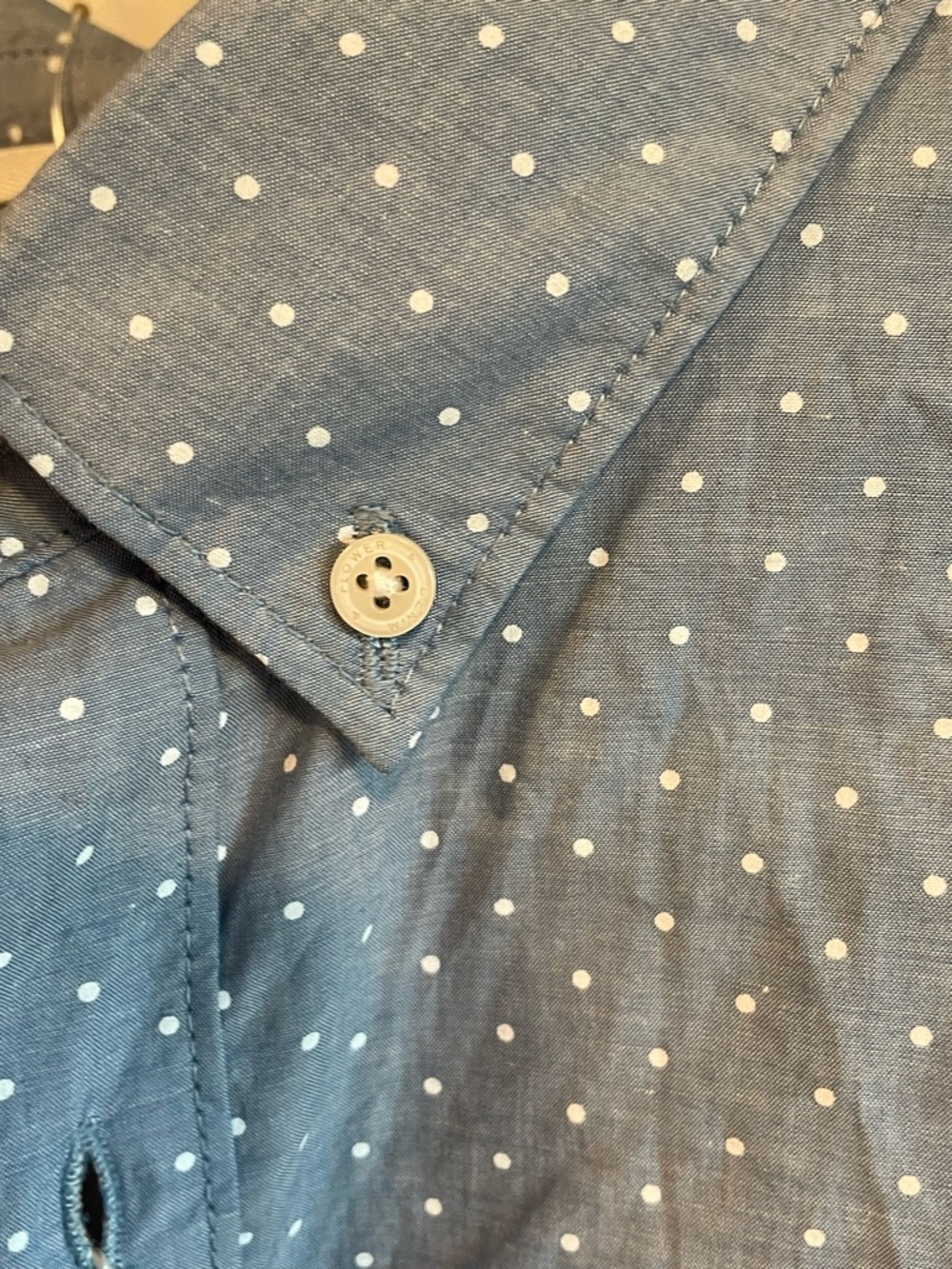 Denim & Flower Light Blue Polka Dot Button-Down Shirt - Picture 8 of 10